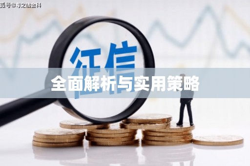 夏邑全面解析与实用策略