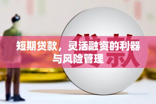 夏邑短期贷款，灵活融资的利器与风险管理