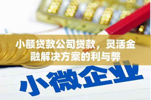 夏邑小额贷款公司贷款，灵活金融解决方案的利与弊