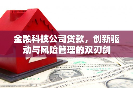 夏邑金融科技公司贷款，创新驱动与风险管理的双刃剑
