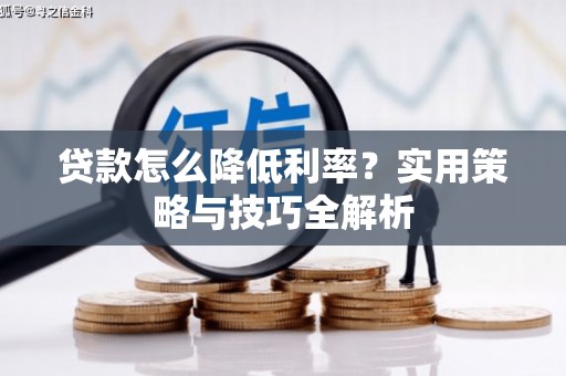 夏邑贷款怎么降低利率？实用策略与技巧全解析